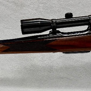 Colt Sauer